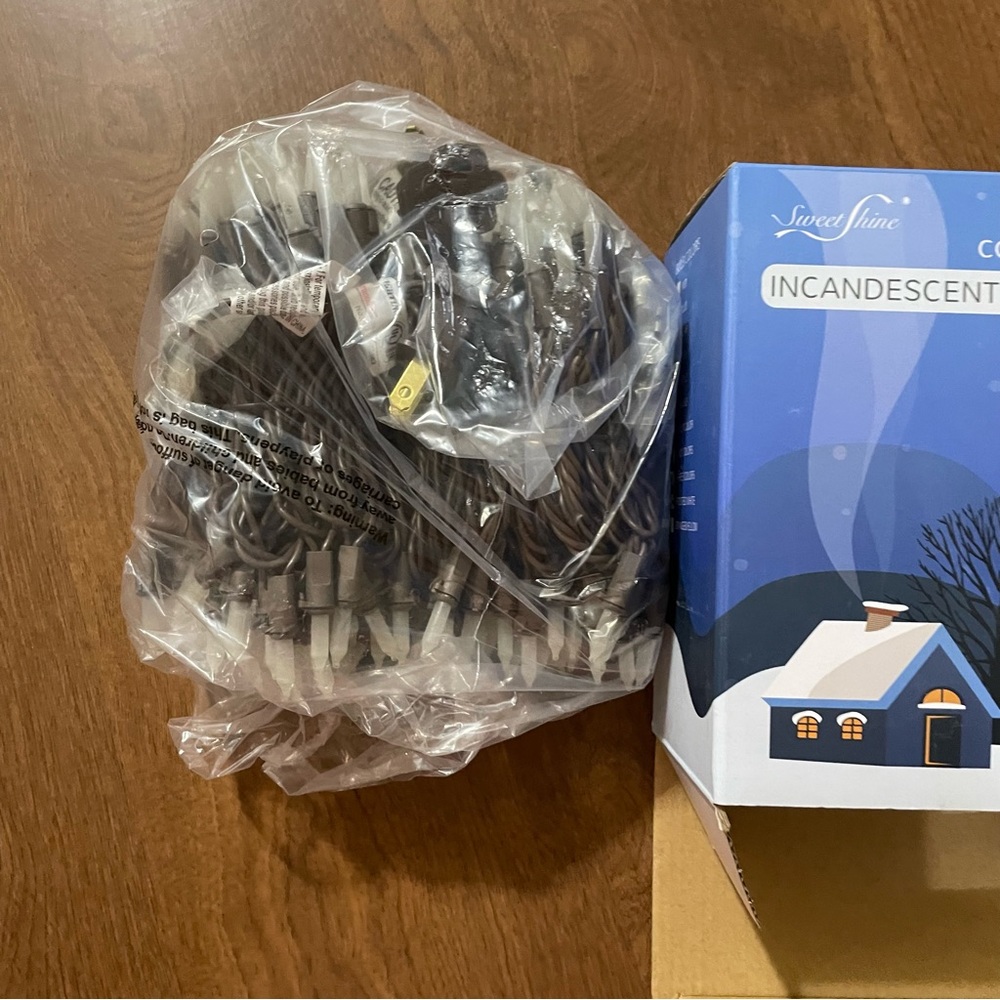 Indoor/outdoor incandescent string lights NWT